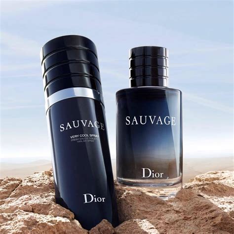 very cool spray sauvage dior|Dior Sauvage very cool spray.